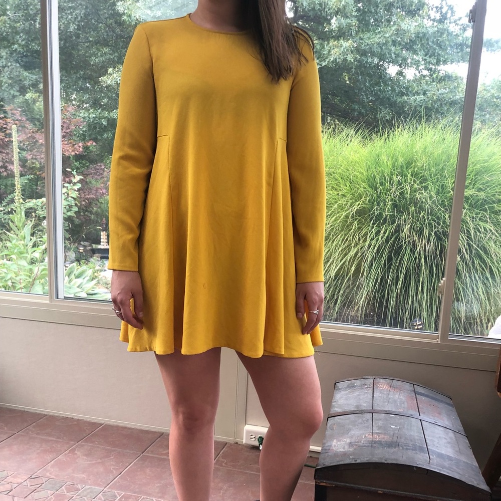 Zara dress